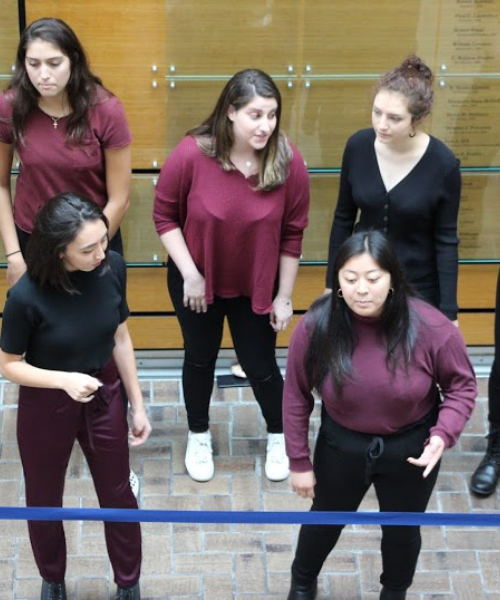 Group of Pipettes performing in Melville Galleria