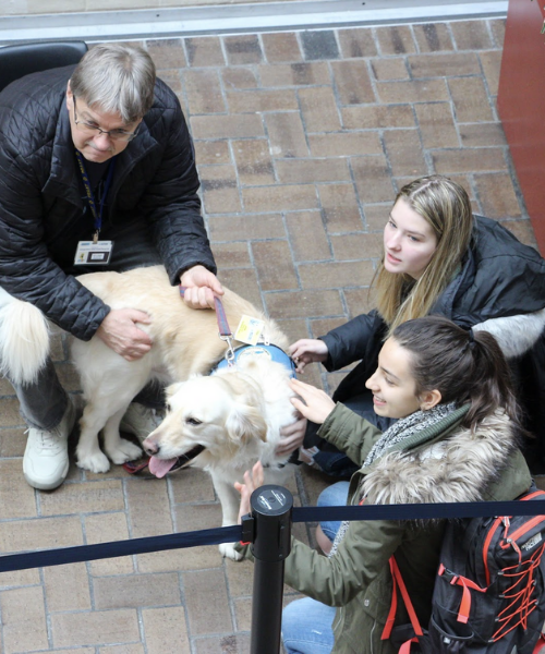 Students with dog and owner of the dog